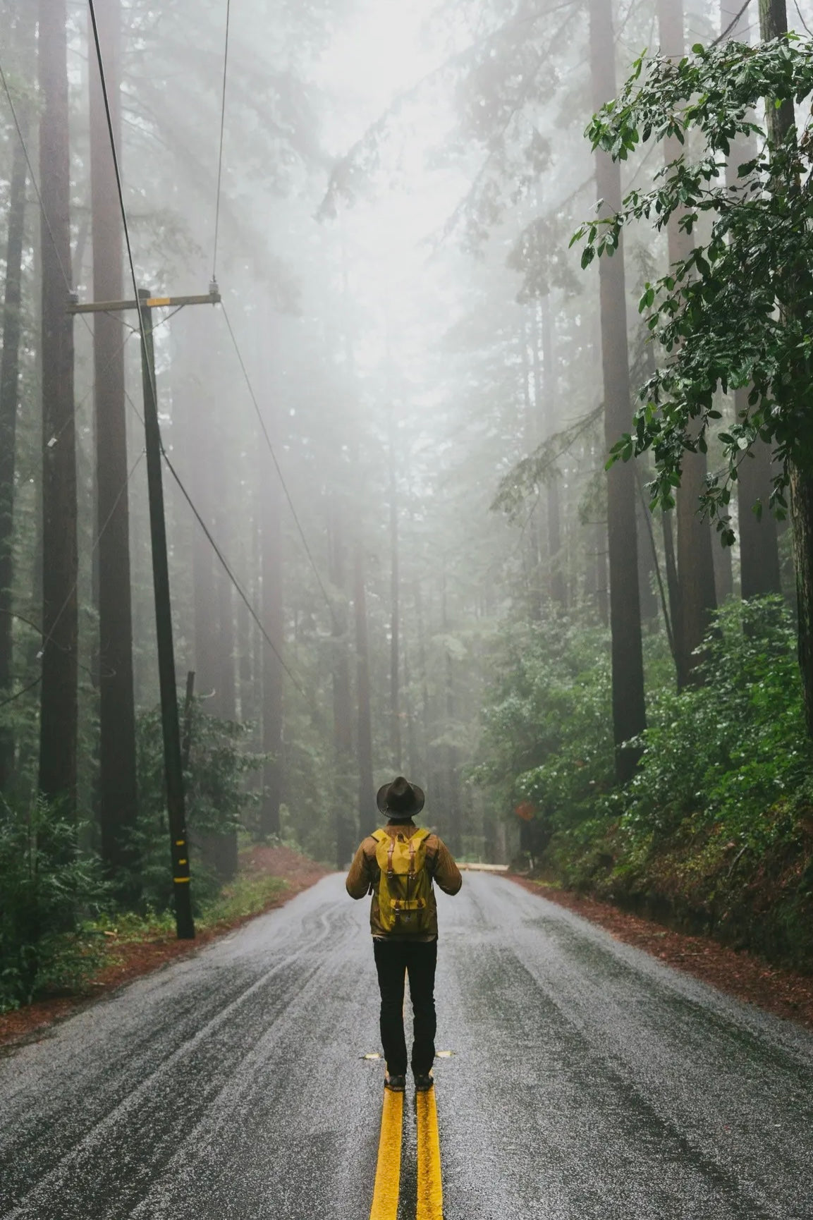 The Great American Road Trip