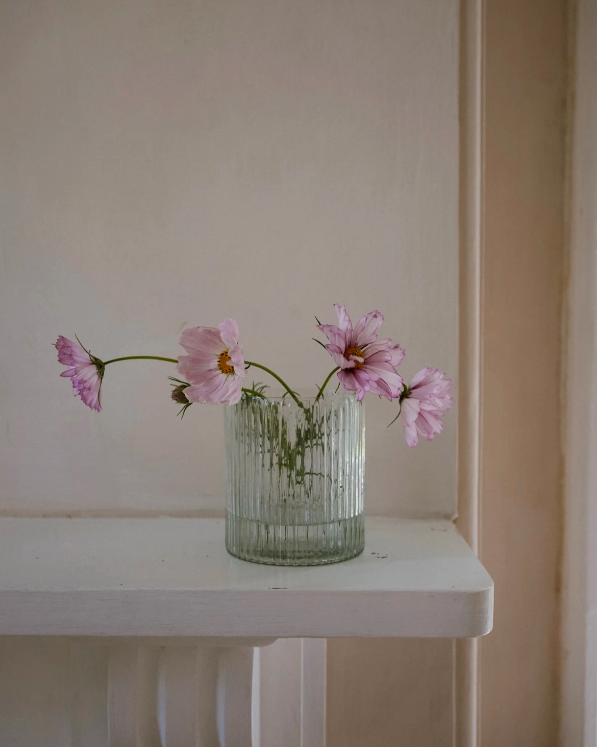 Wide Ribbed Vase